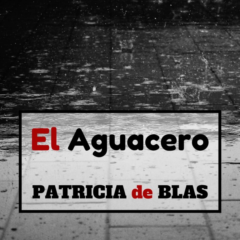 El aguacero. PATRICIA DE BLAS